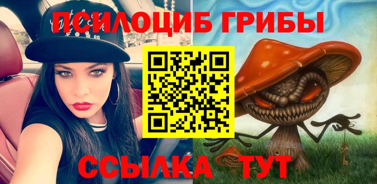 где можно купить наркотик  Вход с VPN  Чита  Псилоцибиновые грибы мухоморы  Галлюциногенные грибы мухоморы 