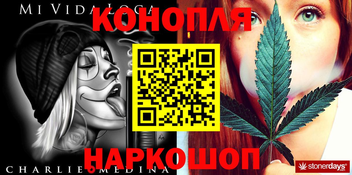 Бошки Шишки конопля  Вход с VPN  Чита  Конопля семена  Конопля White Widow  Марихуана семена 